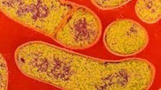 Al treilea caz de botulism din Olt, neconfirmat. De ce boală suferă, de fapt, bărbatul