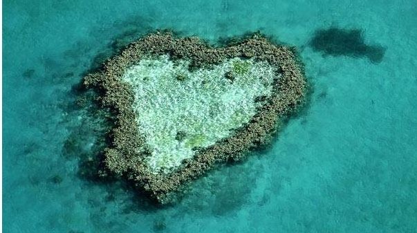 A scăzut cantitatea de substanțe poluante din zona Marii Bariere de Corali 