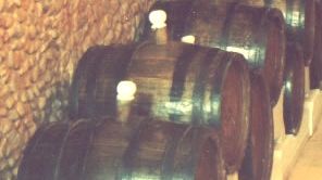 Încă un deces provocat de gazele de fermentație de la MUST. Semnal de alarmă al autorităților