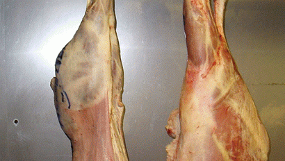 Carne de miel cu blană, găsită într-un lanţ de magazine din ţară