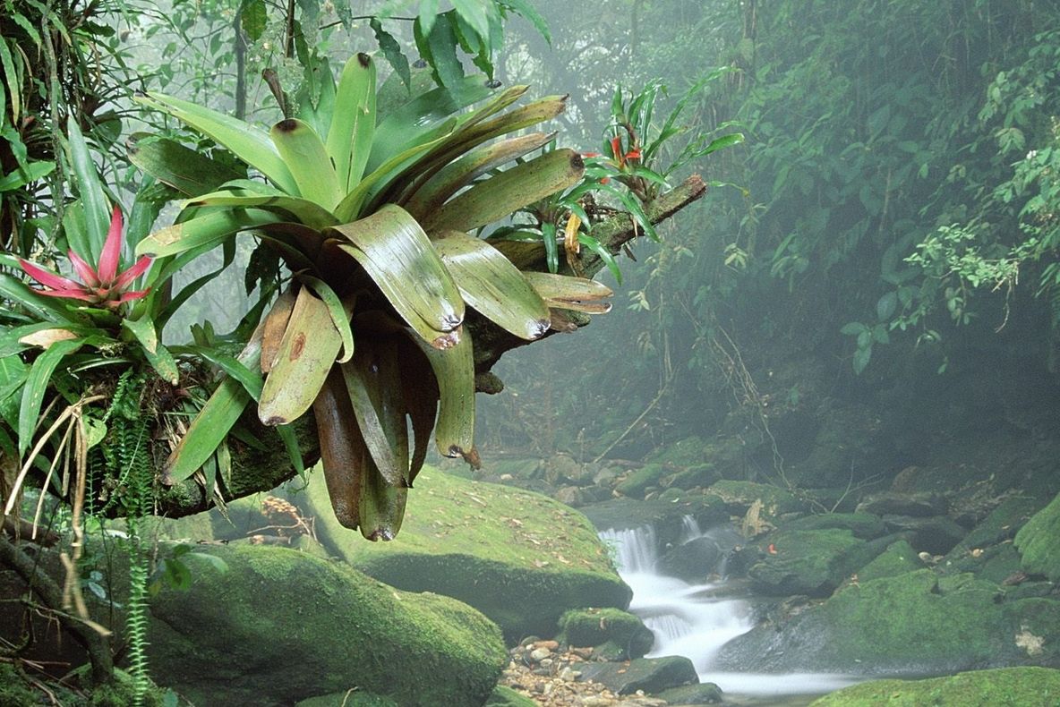 Semnal de alarmă al cercetătorilor: "Omenirea se află într-o epocă periculoasă": 