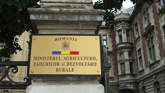 Târg tradițional de Sfântul Gheorghe, în curtea Ministerului Agriculturii. Câte zile va fi deschis