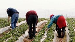 MAE, anunț despre alți 11 români infectați cu noul coronavirus la o fermă din Germania