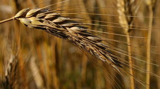 Valeriu Tabără, avertisment îngrijorător: Războiul va crea probleme majore în unele zone. Trebuie măsuri urgente în sectoarele de energie