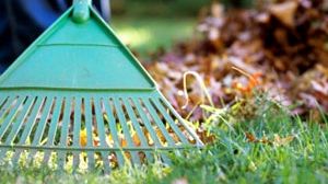 Apare o nouă sărbătoare națională în România. Când pică și ce ar trebui să facem în această zi?