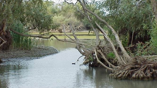 Liber la construcția de paradisuri fiscale pe insule