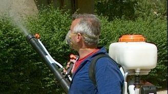 Ploieștiul, invadat de șobolani și țânțari! Primăria, fără contract pentru dezinsecție