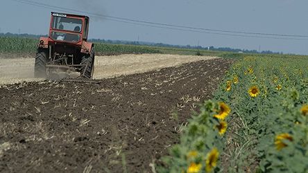 Decizie de ultim moment de la Bruxelles. Ce se întâmplă cu fermierii care-și lasă terenurile în pârloagă