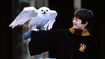 SURPRIZĂ pentru fanii Harry Potter: J.K. Rowling a PUBLICAT o nouă povestire. Cum o poţi citi
