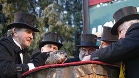 2 februarie, ziua Cârtiţei. Când vine primăvara? Previziunea lui Phil