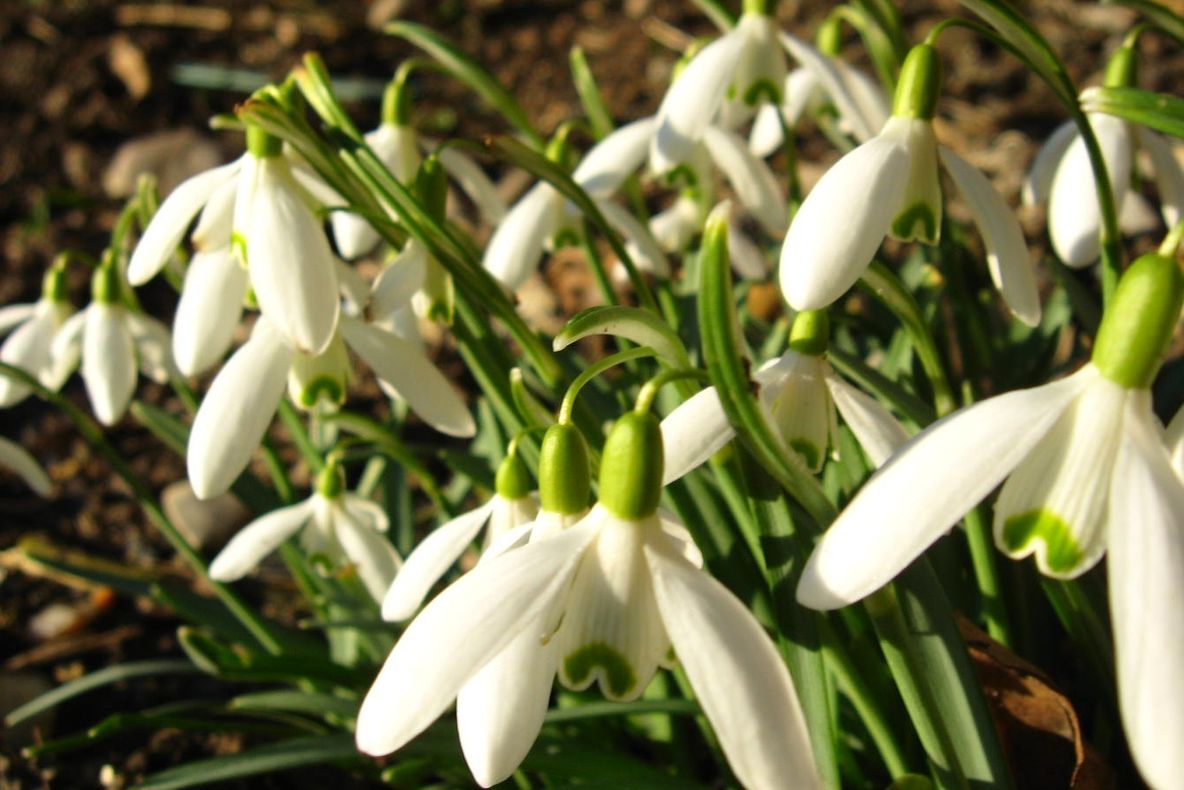 Vremea se mai încălzește! PROGNOZA METEO pe trei zile 