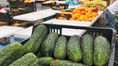 Agricultura autohtonă, în IMPAS: Prețuri mici și puțin loc pe piață pentru fructele și legumele românești 