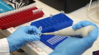 Cum ne îmbolnăvește bacteria E.coli