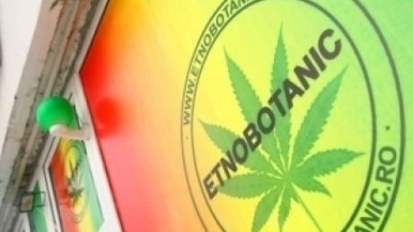 Iași: Bărbat prins cu etnobotanice aduse din Olanda