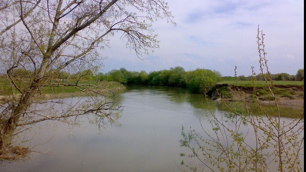 Descoperire macabră în râul Timiş 