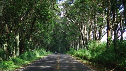 Se cere oficial o anchetă la Garda Forestieră Suceava după ce activiști de mediu au fost atacați