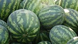 Poliţiştii de frontieră au descoperit 23 de cetăţeni afgani ascunşi în tiruri cu cartofi şi pepeni 