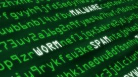 Securitatea cibernetică ar putea fi introdusă în programa şcolară. Ce vor învăţa copiii