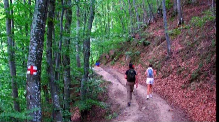 De la ce vârstă îţi poţi lasă copilul să meargă în tabară?