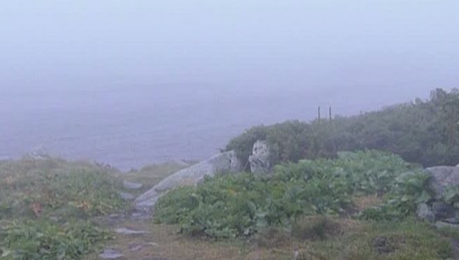 Căutările în cazul adolescentei dispărute în Retezat, extinse în unităţi de cazare, gări şi autogări