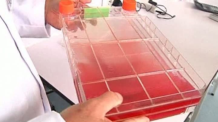 A fost inaugurat un nou centru de transplant de celule stem