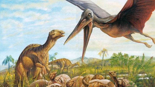 O singură ramură de dinozauri a evoluat spre păsările de astăzi