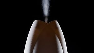 Pericolul ascuns al odorizantelor pentru cameră. Ne intoxicăm singur cu substanţe periculoase