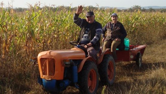 Fermierii din România primesc despăgubiri pentru pagubele produse de secetă. Ce trebuie să facă