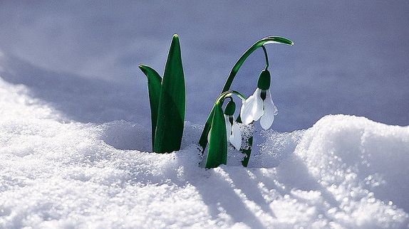 Cum va fi vremea la începutul lunii martie, zilele babelor 