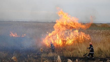 Sfârșit tragic pentru un bărbat din Dragomirești. A murit în incendiu provocat de el pe miriște