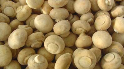 Valoarea NUTRITIVĂ a CIUPERCILOR