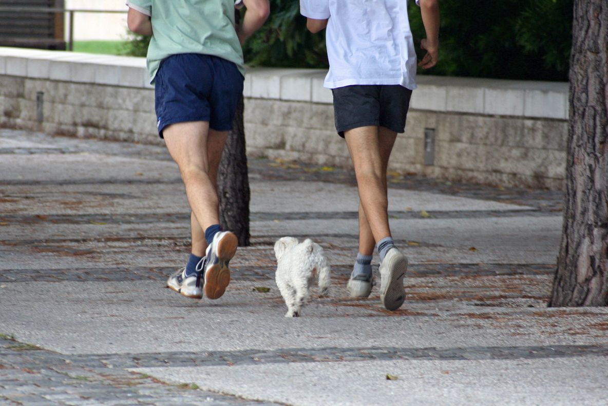 Află daca ești sedentar – Chestionarul GPPAQ