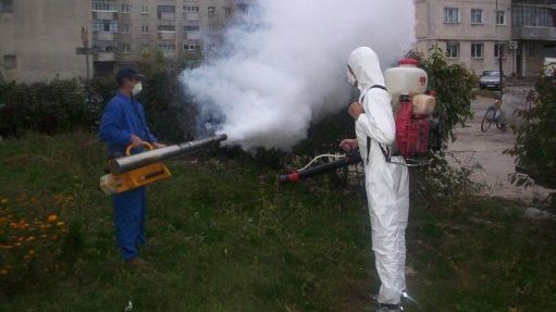 De ce au întârziat foarte mult deratizarea și dezinsecția Bucureștiului. Răspunsul lui Nicușor Dan