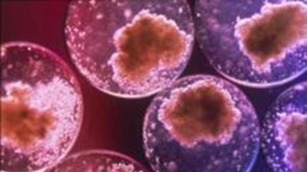 Românii care donează celule stem, scutiți de impozite timp de 10 ani 