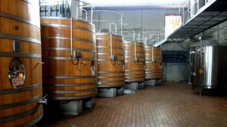 Bloommberg, de 1 Aprilie: Vinurile moldoveneşti pun în dificultate misiunea spaţială rusă