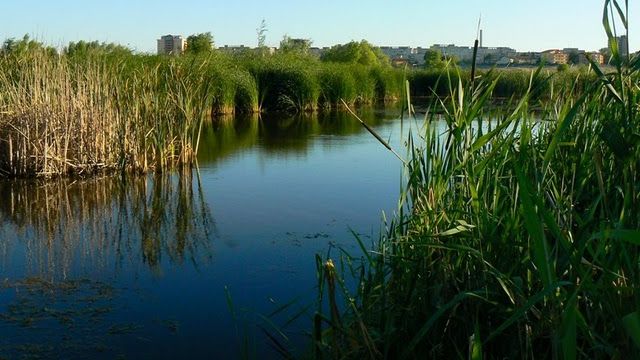 Delta Văcărești va avea un regulament de funcționare