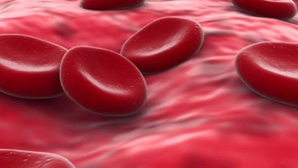  Banca de celule stem Cord Blood Center a cerut intrarea în insolvenţă