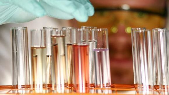 Savanţii au creat un hibrid între om şi porc. ''Este ceva ce nu facem cum trebuie''