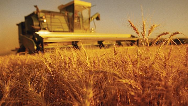 Exporturile de cereale din Ucraina, în stand by: porturile din Marea Neagră, în continuare, cea mai bună opțiune. Ce AȘTEPTĂRI are Kievul