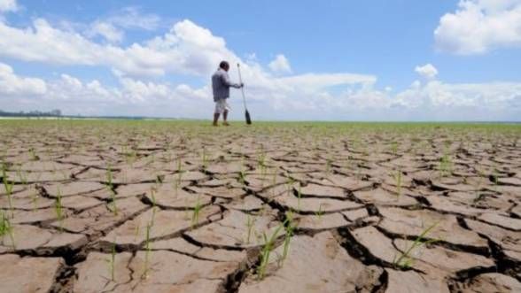 ALARMANT! Foametea face victime în toată lumea 