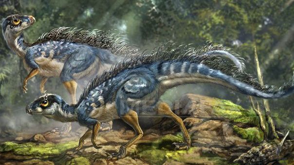 Expoziţie de fosile din diferite perioade geologice, în luna aprilie, în Capitală