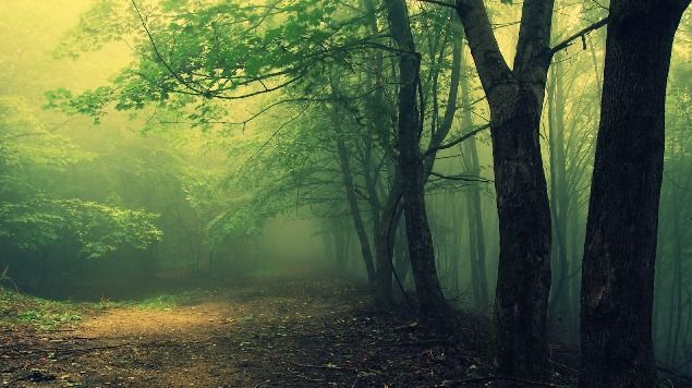 Au crezut că au o casa bântuită, însă adevărul era cu mult mai crunt