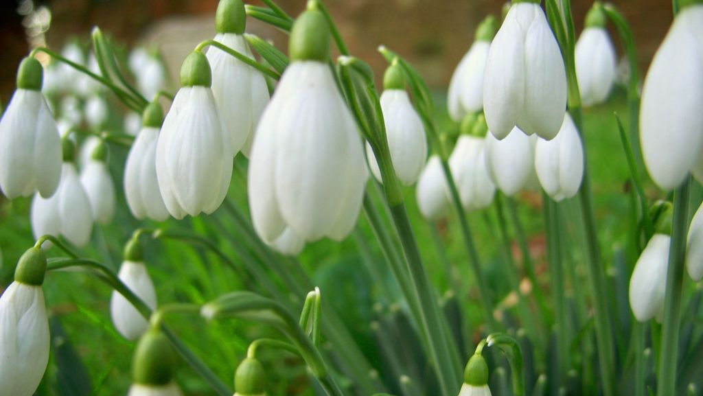 Vreme frumoasă, dar va ploua în aproape toată ţara. Prognoza meteo pe următoarele două săptămâni 