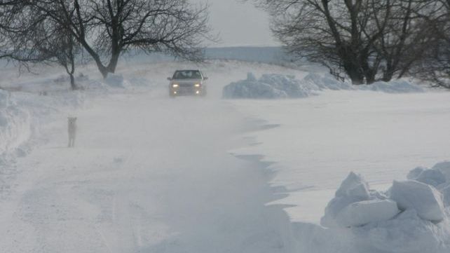 Ion Sandu, directorul ANM: În ultimii 20 de ani nu există an să nu avem fenomene atipice