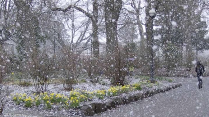 Lapoviţă şi ninsoare! PROGNOZA METEO pe trei zile