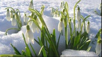 Veste bună de la meteorologi. Cum va fi vremea luni şi marţi