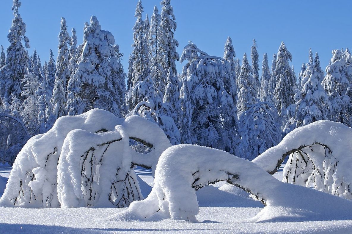 Vin ninsorile în aproape toată ţara! PROGNOZA METEO în perioada 6-19 ianuarie