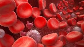 Scapă de oboseală cu dieta în funcţie de grupa sangvină 