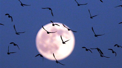 ECHINOCȚIUL DE PRIMĂVARĂ. Cum se calculează data PAŞTELUI, în funcție de ECHINOCȚIUL DE PRIMĂVARĂ