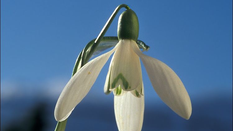 Cum va fi VREMEA pe 1 MARTIE? PROGNOZA METEO pe trei zile 